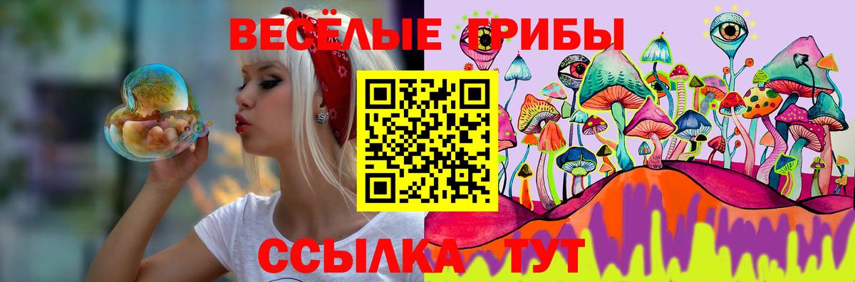 Псилоцибиновые грибы Cubensis Переславль-Залесский