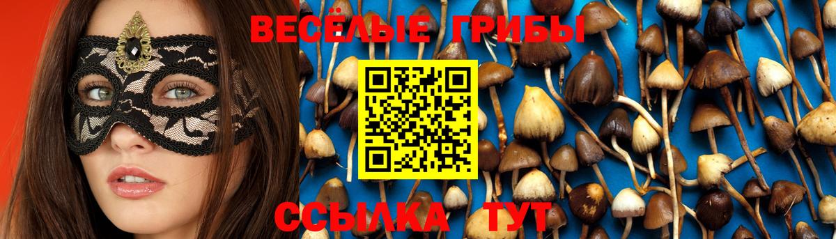 Псилоцибиновые грибы Psilocybe  Вход с VPN  где найти наркотики  Переславль-Залесский 